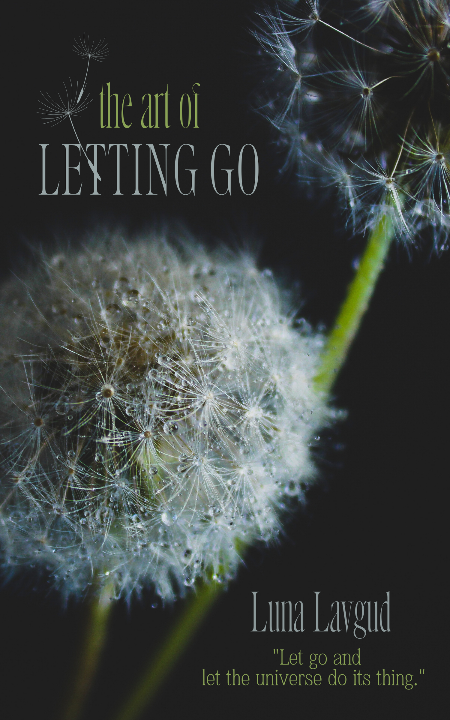 eBook Cover Template - The Art of Letting Go