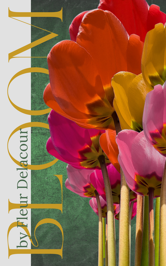 eBook Cover Template - Bloom